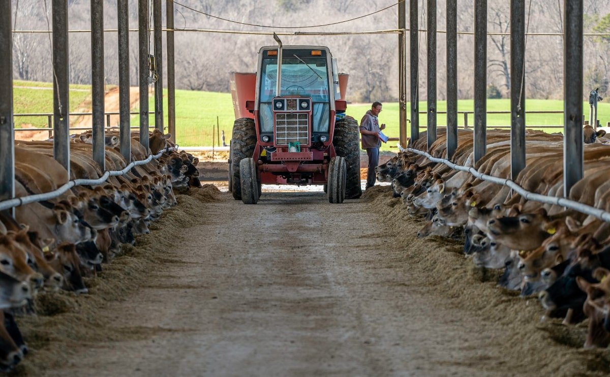 Why is Saved Feed important in organic farming?