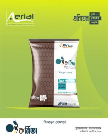 Cornida
